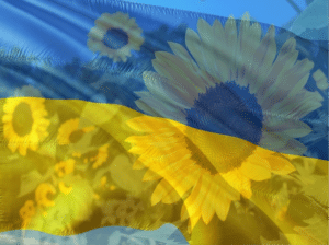 ウクライナ国旗にヒマワリの花が透かされて映る